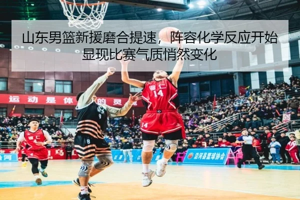 山东男篮新援磨合提速，阵容化学反应开始显现比赛气质悄然变化